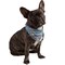 Mechaly Cotton Funny Dog Bandana with Designs Durable Birthday Pet Scarf